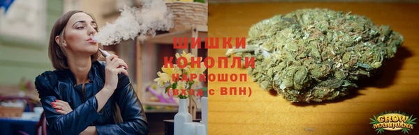 тгк Ладушкин