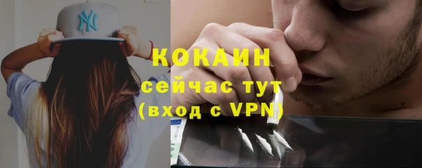 крисы Лагань