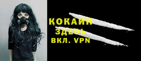 крисы Лагань