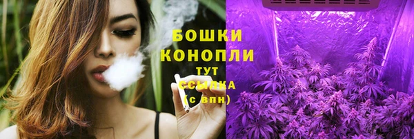 тгк Ладушкин
