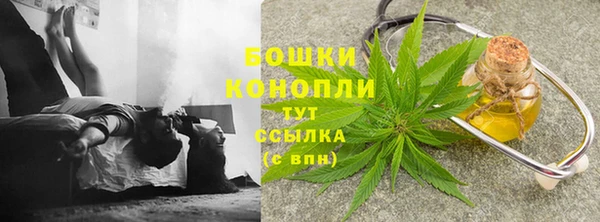 амф Лабытнанги