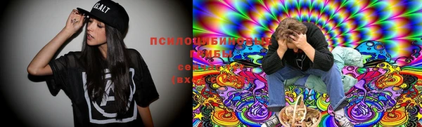 тгк Ладушкин