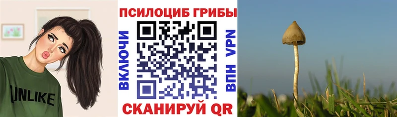 Псилоцибиновые грибы Psilocybe  Реж 
