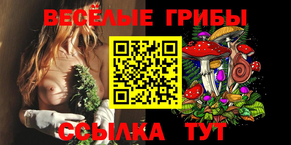 Реж  Псилоцибиновые грибы прущие грибы  Вход с VPN 