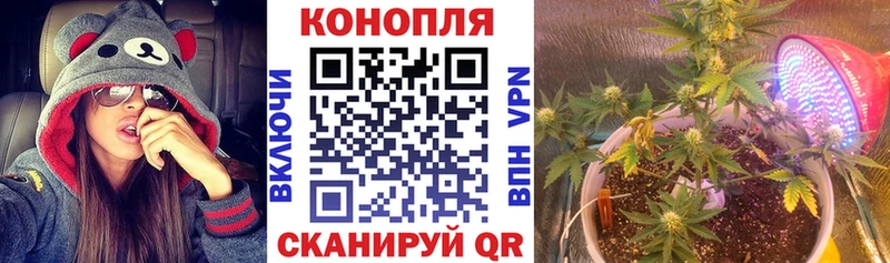 Каннабис THC 21%  купить наркоту  ОМГ ОМГ как зайти  это наркотические препараты  Реж 